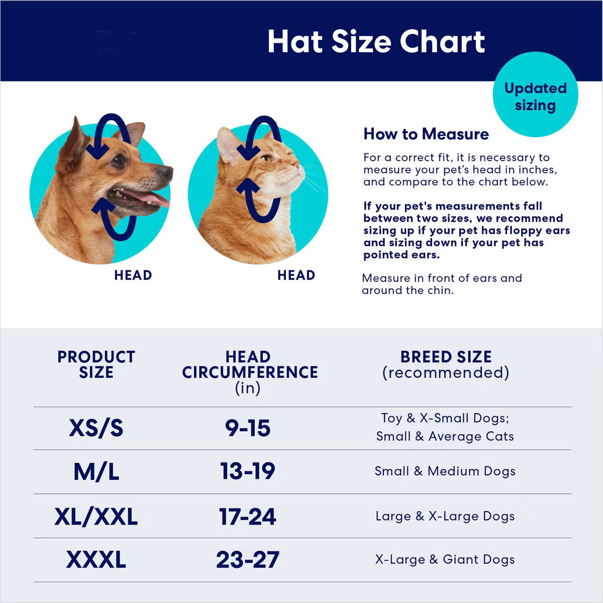 dog_green_baseball_cap