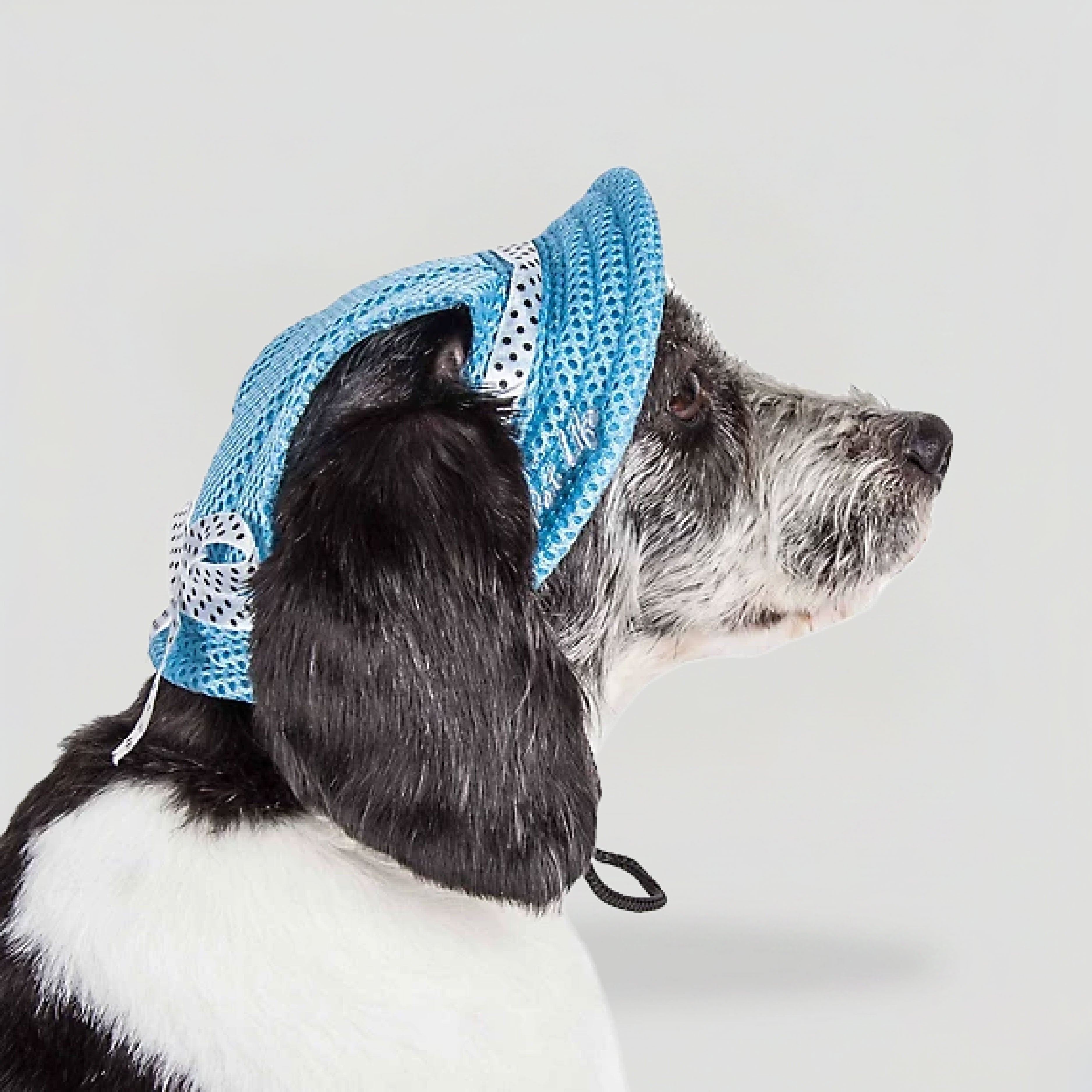 Dog_water_performance_hat_blue