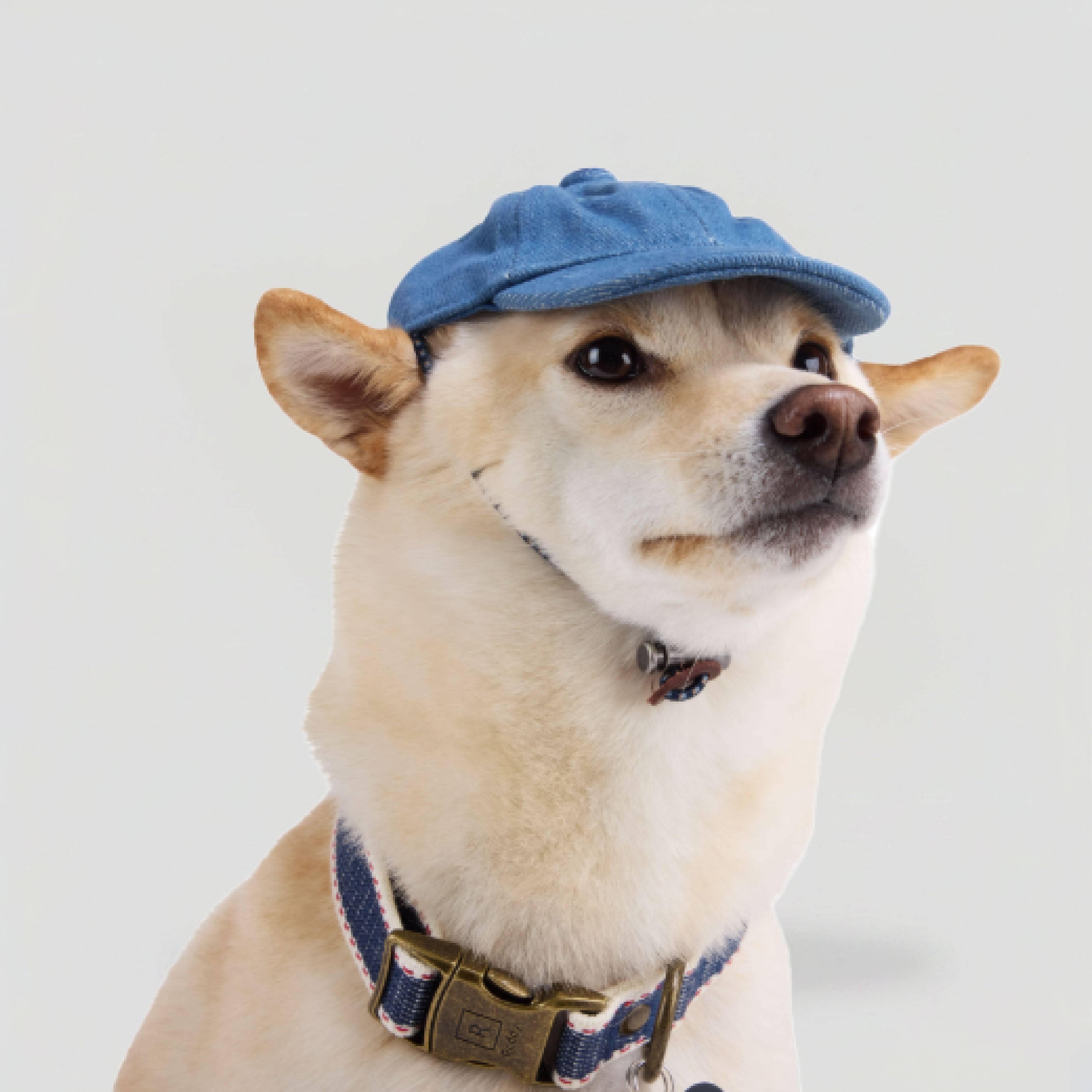 Dog_dad_hat_blue